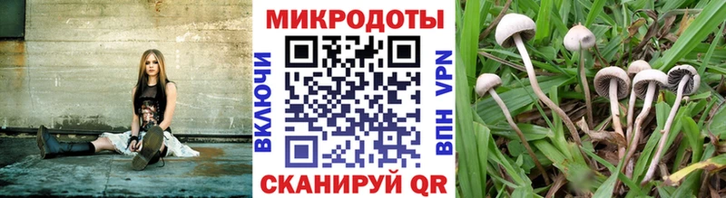 где продают наркотики  Макушино  Галлюциногенные грибы мухоморы 